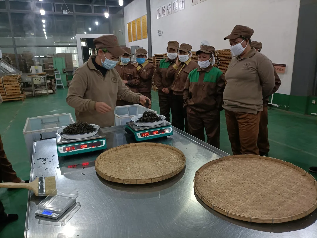 精益求精&middot;鑄造品質(zhì)｜六大茶山第十四屆技術(shù)大比武圓滿完成